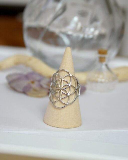 Bague Réglable Graine de vie acier inoxydable argenté Laoobijoux